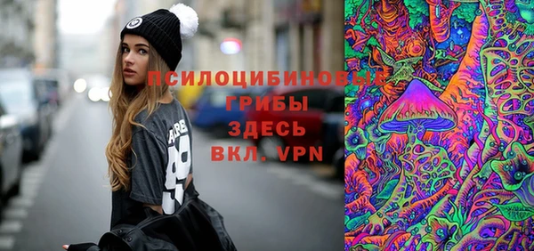 ГАЛЛЮЦИНОГЕННЫЕ ГРИБЫ Алексин