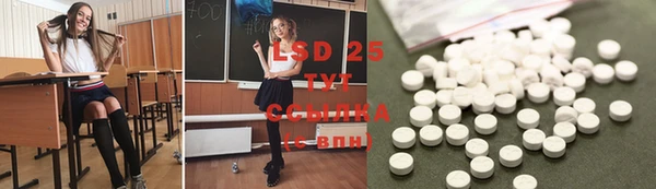 ГАЛЛЮЦИНОГЕННЫЕ ГРИБЫ Алексин
