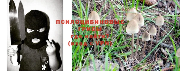 mdpv Пролетарск