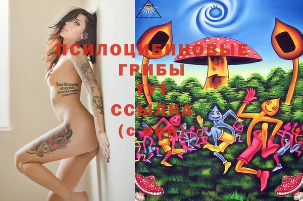 меф Алзамай