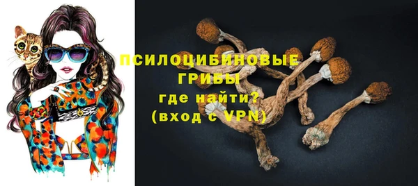 ГАЛЛЮЦИНОГЕННЫЕ ГРИБЫ Алексин